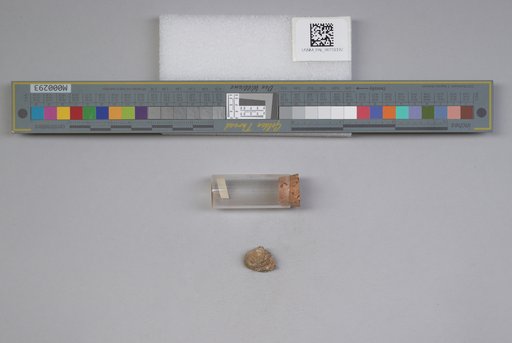 NSF ADBC EPICC TCN