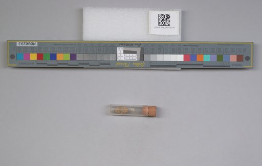 NSF ADBC EPICC TCN