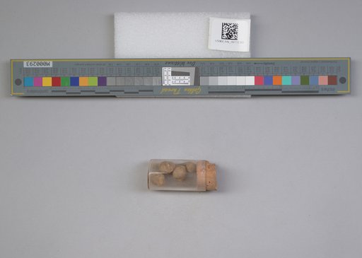 NSF ADBC EPICC TCN