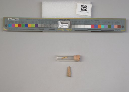 NSF ADBC EPICC TCN