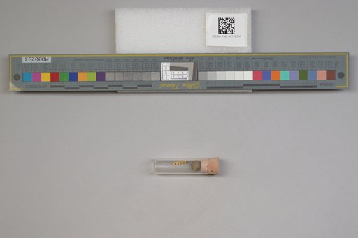 NSF ADBC EPICC TCN