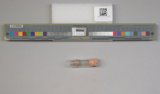 NSF ADBC EPICC TCN
