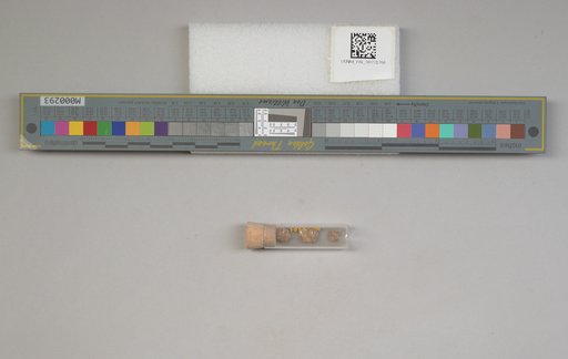 NSF ADBC EPICC TCN