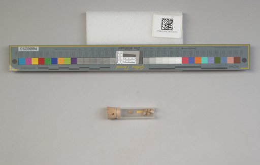 NSF ADBC EPICC TCN