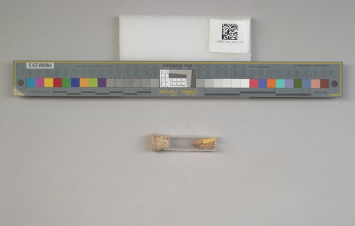 NSF ADBC EPICC TCN