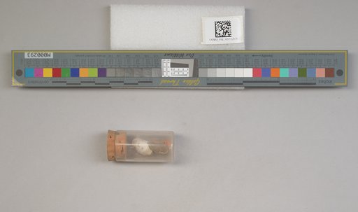 NSF ADBC EPICC TCN