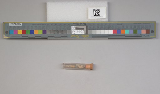 NSF ADBC EPICC TCN
