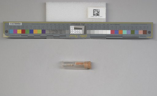 NSF ADBC EPICC TCN