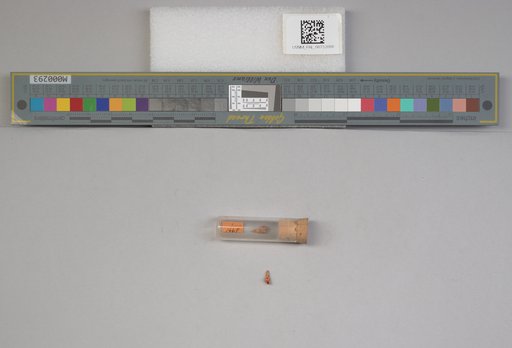NSF ADBC EPICC TCN