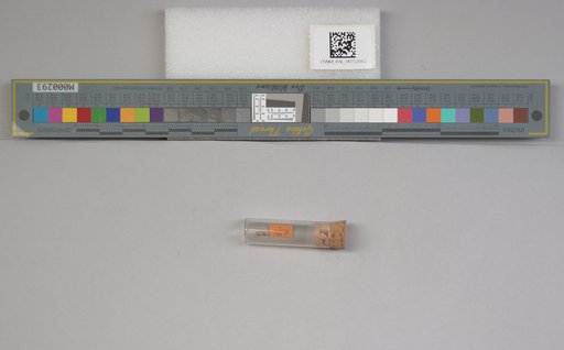 NSF ADBC EPICC TCN