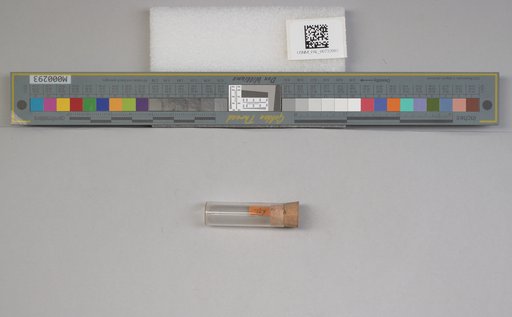 NSF ADBC EPICC TCN