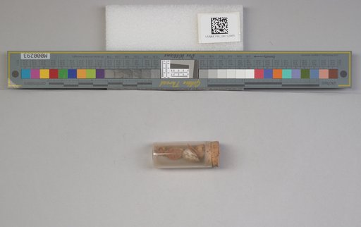 NSF ADBC EPICC TCN