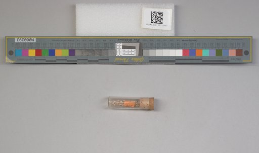 NSF ADBC EPICC TCN