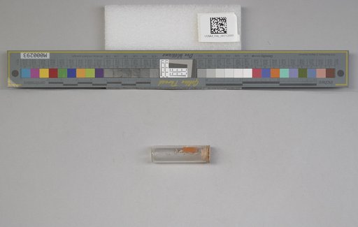 NSF ADBC EPICC TCN