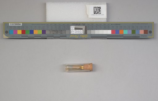 NSF ADBC EPICC TCN