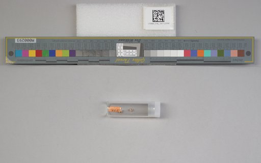 NSF ADBC EPICC TCN