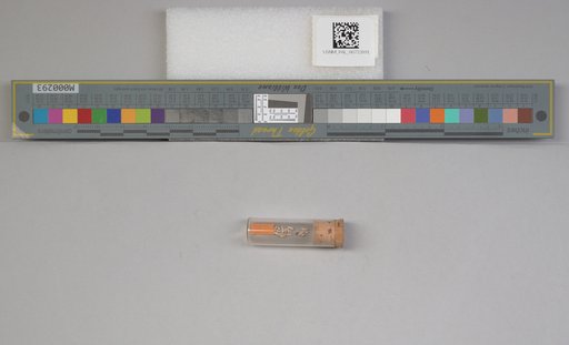 NSF ADBC EPICC TCN