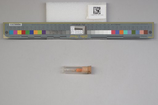 NSF ADBC EPICC TCN