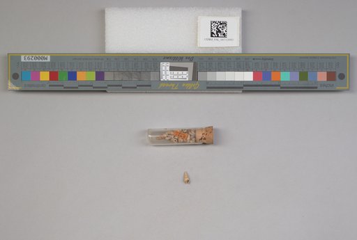 NSF ADBC EPICC TCN