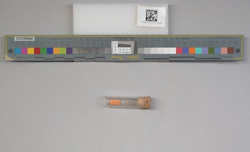 NSF ADBC EPICC TCN