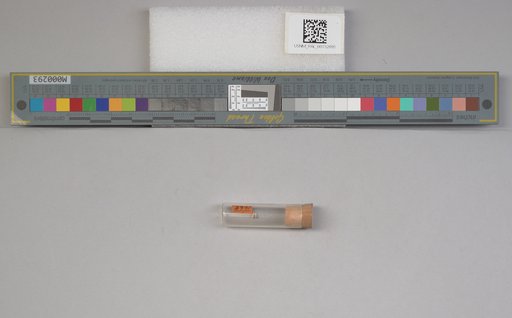 NSF ADBC EPICC TCN