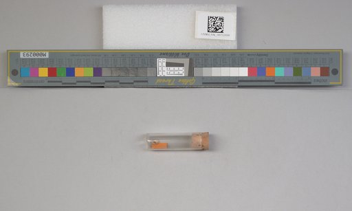 NSF ADBC EPICC TCN