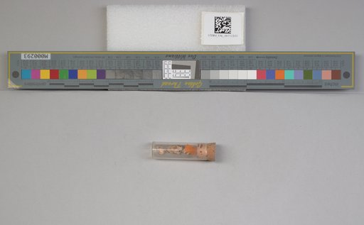 NSF ADBC EPICC TCN
