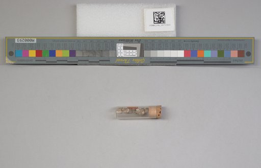 NSF ADBC EPICC TCN