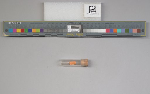 NSF ADBC EPICC TCN