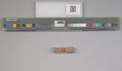 NSF ADBC EPICC TCN