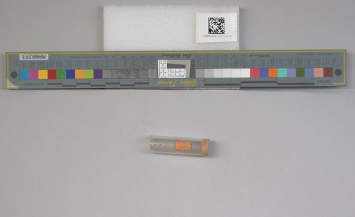 NSF ADBC EPICC TCN