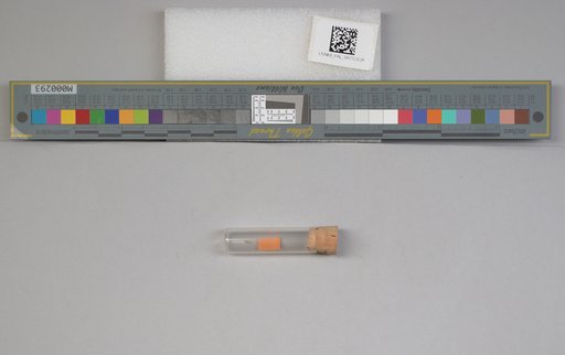 NSF ADBC EPICC TCN