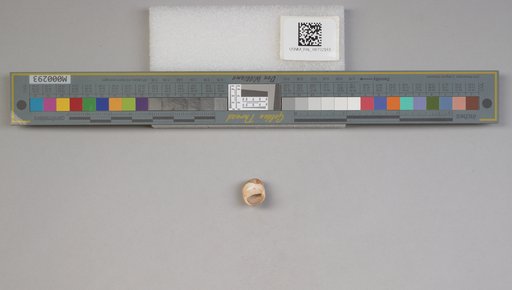 NSF ADBC EPICC TCN