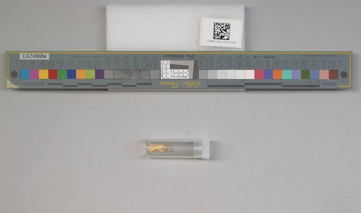 NSF ADBC EPICC TCN