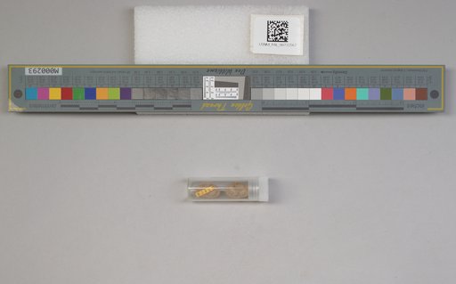 NSF ADBC EPICC TCN