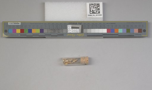 NSF ADBC EPICC TCN