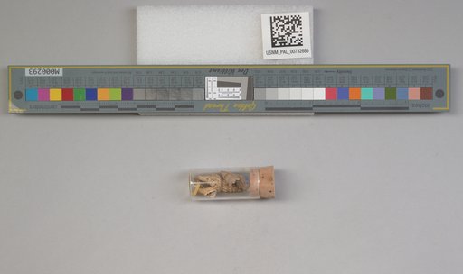 NSF ADBC EPICC TCN