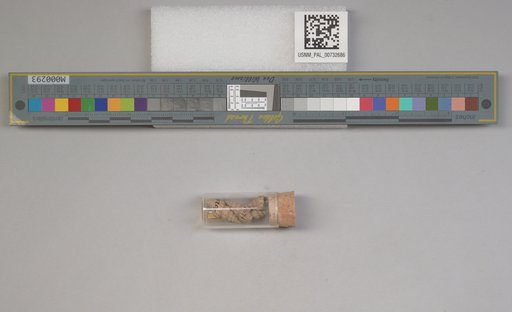 NSF ADBC EPICC TCN