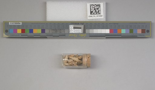 NSF ADBC EPICC TCN
