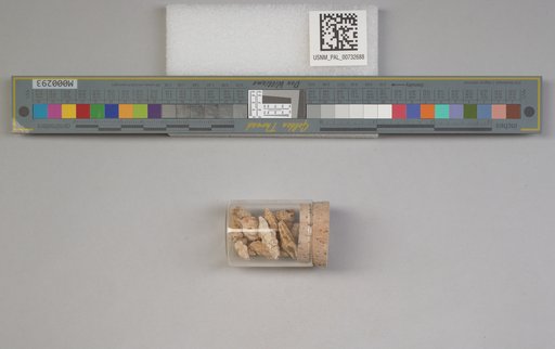 NSF ADBC EPICC TCN