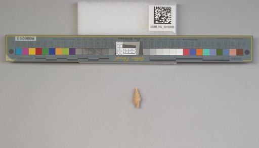 NSF ADBC EPICC TCN