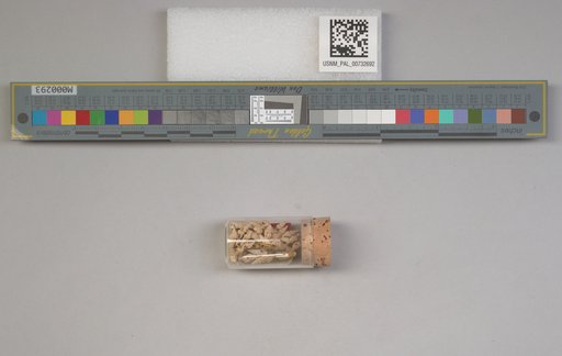 NSF ADBC EPICC TCN