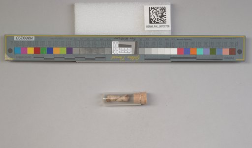 NSF ADBC EPICC TCN