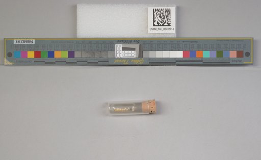 NSF ADBC EPICC TCN