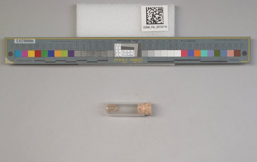 NSF ADBC EPICC TCN