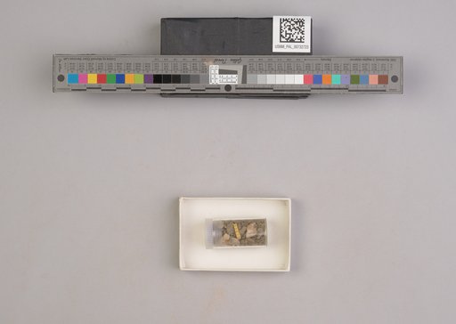 NSF ADBC EPICC TCN