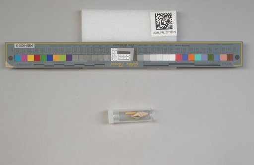 NSF ADBC EPICC TCN