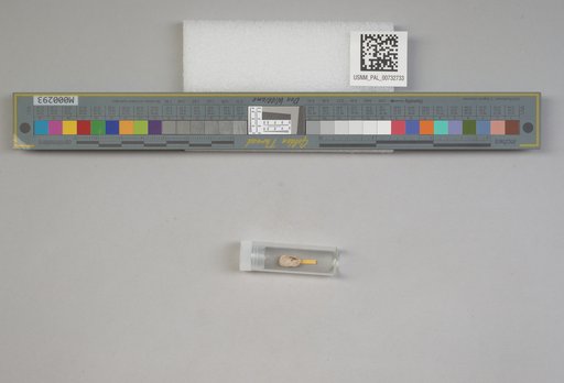 NSF ADBC EPICC TCN