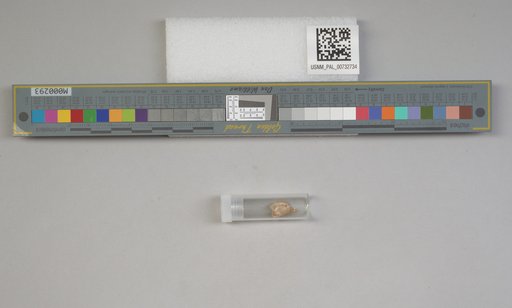 NSF ADBC EPICC TCN