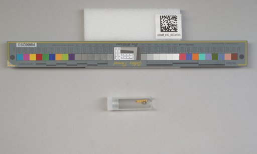 NSF ADBC EPICC TCN